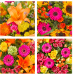 Anniversary | Birthday | Bouquets | New Baby Bouquets | Deluxe Bright Bouquet