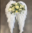 Special Tributes | Angel wings Feather