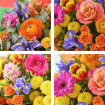 Apology Flowers | Birthday Flowers  | Get Well Flowers | spring 2025 | Classic Spring Bouquet