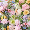 Special Offers | Summer 2025 | Summer Peonies Bouquet