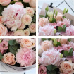 Special Offers | Summer 2025 | Beautifully Simple Peony Bouquet