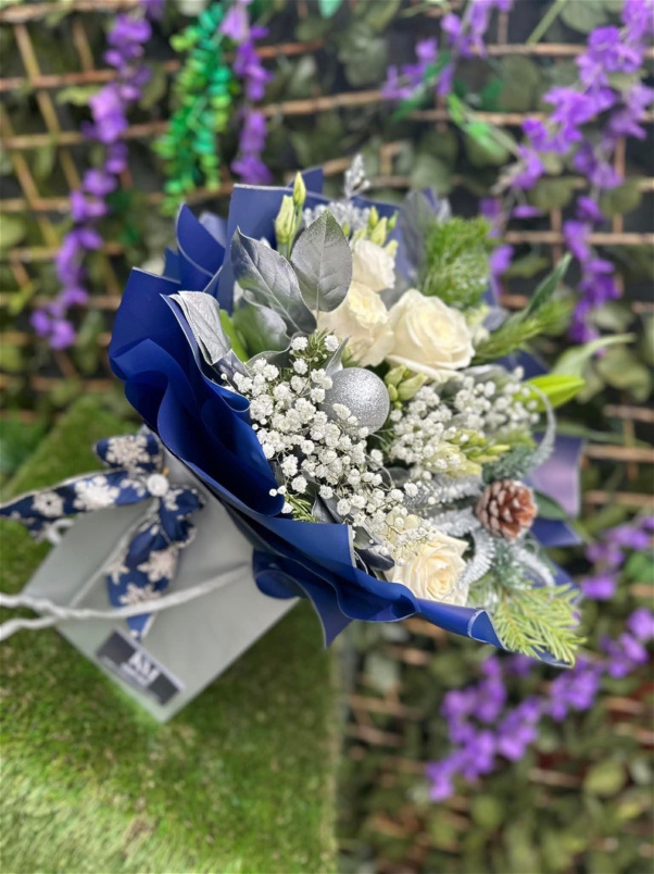 Christmas 2025 | Silent night