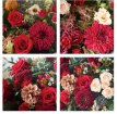 Christmas 2025 | GORGEOUS GLAD TIDINGS BOUQUET