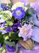 Anniversary Flowers  | Birthday Flowers  | Friendship Flowers | Shop Our New Arrivals | Thank You | The Sweetheart