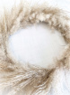 At Home Decor | Natural Pampas Grass Hoop