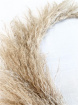 At Home Decor | Natural Pampas Grass Hoop
