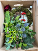 Christmas | Festive Wreath Kit