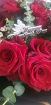 Valentines flowers  | Six luxury red rose.