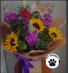 Pet Friendly flowers | Summer