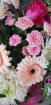  Gift flowers  | Birthday | new baby | Lucy