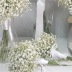 wedding flower packages | Package 2-Gypsophylla £200