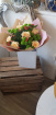  Gift flowers  | Rosa