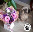 Pet Friendly flowers | Pet friendly  bouquet- Barneys choice