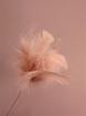 Upsell gifts | Feathers