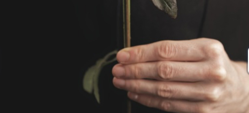 MVB Wild with Flowers | Worcester | Home