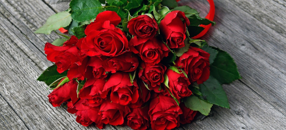 MVB Wild with Flowers | Worcester | Home