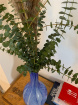 Bouquet | Eucalyptus & pampas grass mix