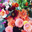 Bouquet | Brighten my day …