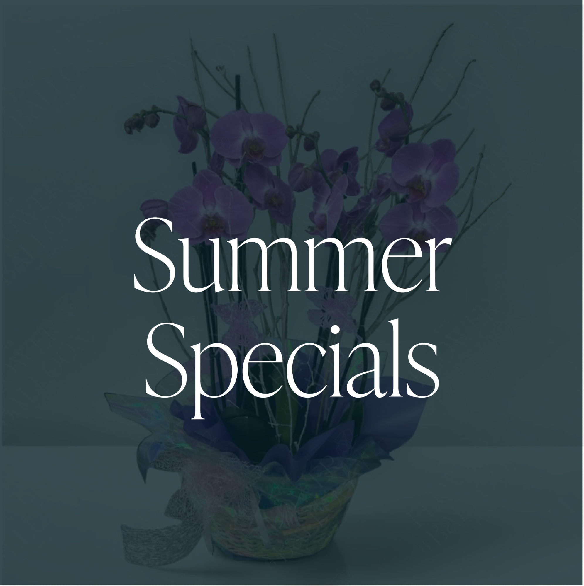 The Flower & Balloon Studio | Castle Bromwich | Home