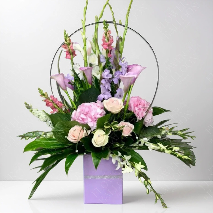 Summer Specials | Blush Breeze