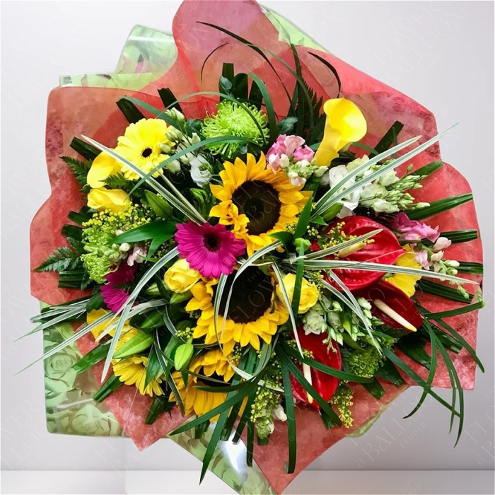 Summer Specials | Summer Delight