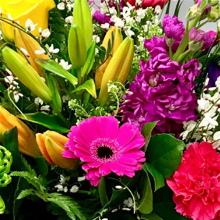 Florist's Choice | Florist's Choice - Vibrant Colours