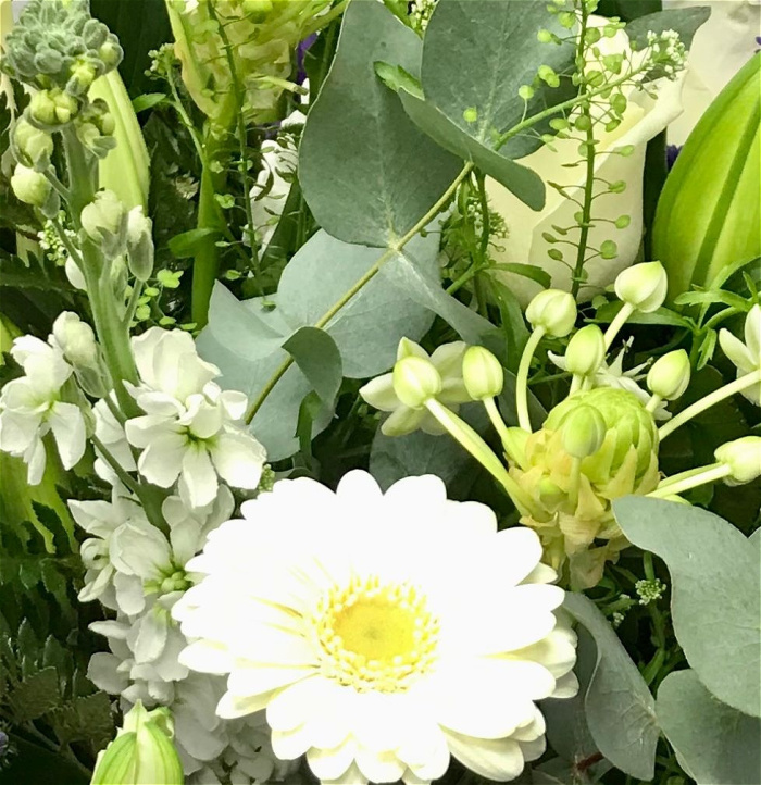 Florist's Choice | Florist's Choice - Neutral Colours