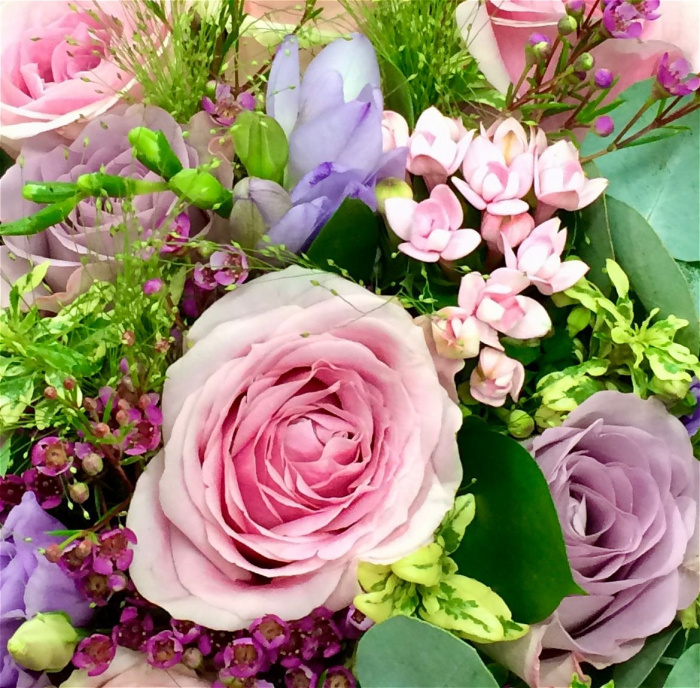 Florist's Choice | Florist's Choice - Pastel Colours