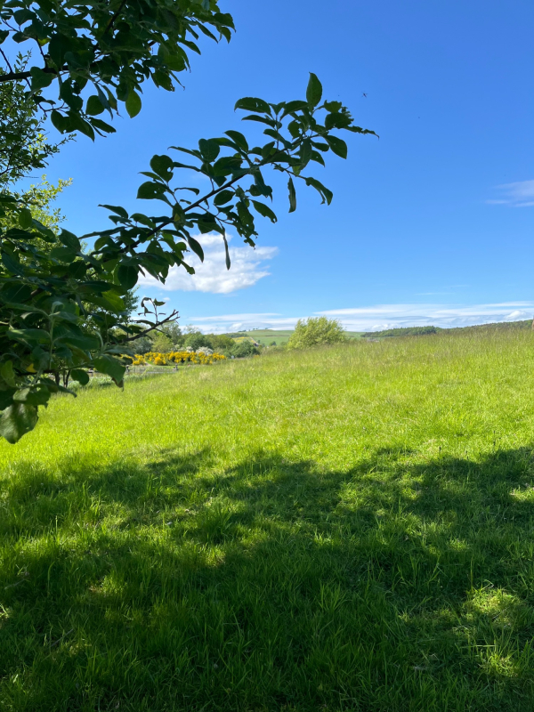 Memories in Colour and Song | Kirkcaldy | Preview the Summer Companion