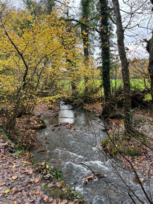 Memories in Colour and Song | Kirkcaldy | Follow the Journey into Autumn