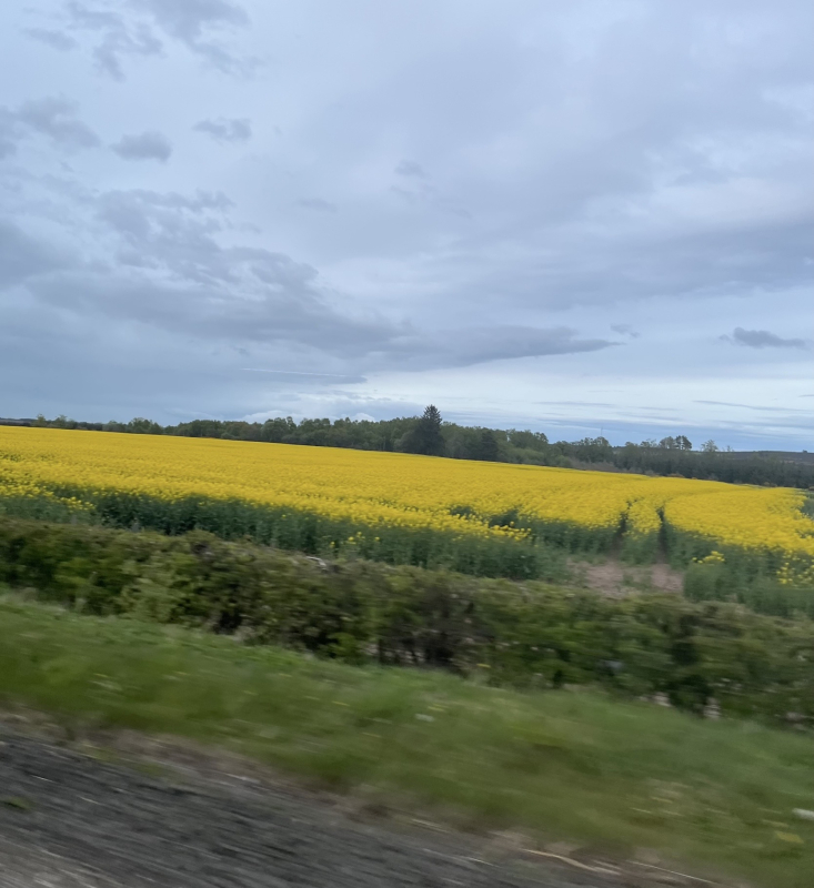 Memories in Colour and Song | Kirkcaldy | Creative Wellbeing Packs UK