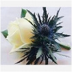 Bridal Flowers | Rose & Thistle Button hole