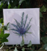 Cards | Mother's Day 2024 | Upsell gifts | Sea Holly Card