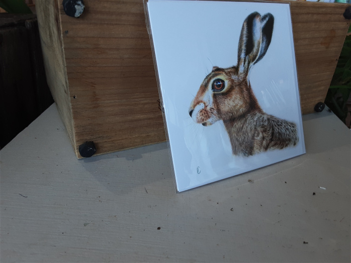 Cards | Special offers/Sale | Upsell gifts | Hare card