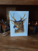 Cards | Home and gift range | Glencoe Stag card - KJ