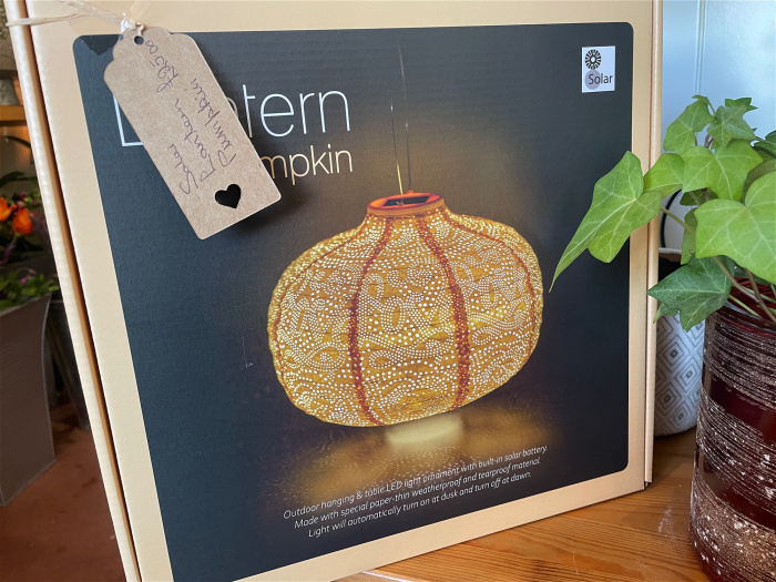 Mother's Day 2024 | New to The Woodland Florist | Solar, battery and mains decorative lights | Solar Garden Lantern various colours
