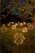 Christmas 2023 | Mother's Day 2024 | New to The Woodland Florist | Solar, battery and mains decorative lights | Solar starburst stake lights