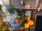 New to The Woodland Florist | Plants | Autumn/winter arrangements