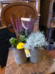 New to The Woodland Florist | Plants | Autumn/winter arrangements