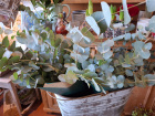 Christmas at The Woodland Florist  | Christmas at The Woodland Florist 2025 | Eucalyptus bouquet