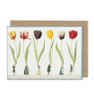 Cards | New to The Woodland Florist | Tulips Parade