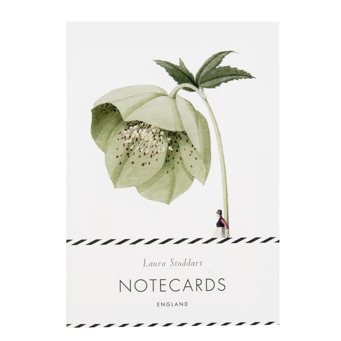 New to The Woodland Florist | In Bloom Green Flowers Notecard Boxed Set