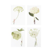 New to The Woodland Florist | In Bloom Green Flowers Notecard Boxed Set