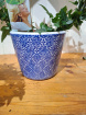 New to The Woodland Florist | Ivy Hoop