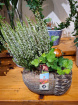 New to The Woodland Florist | Autumn planter