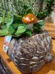 New to The Woodland Florist | Autumn planter