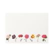 Cards | Home and gift range | Flat notes 