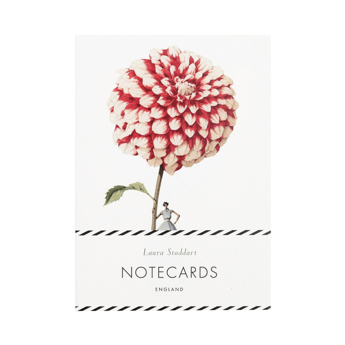 Cards | Home and gift range | Note cards -Dahlias In Bloom - Laura Stoddart