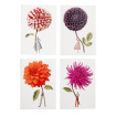 Cards | Home and gift range | Note cards -Dahlias In Bloom - Laura Stoddart