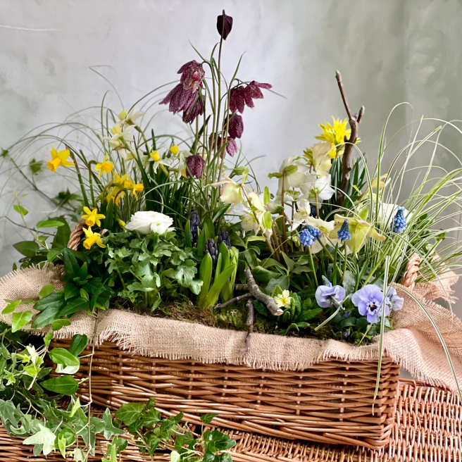 Helen Sheard Floral Designs | Brentwood | Home
